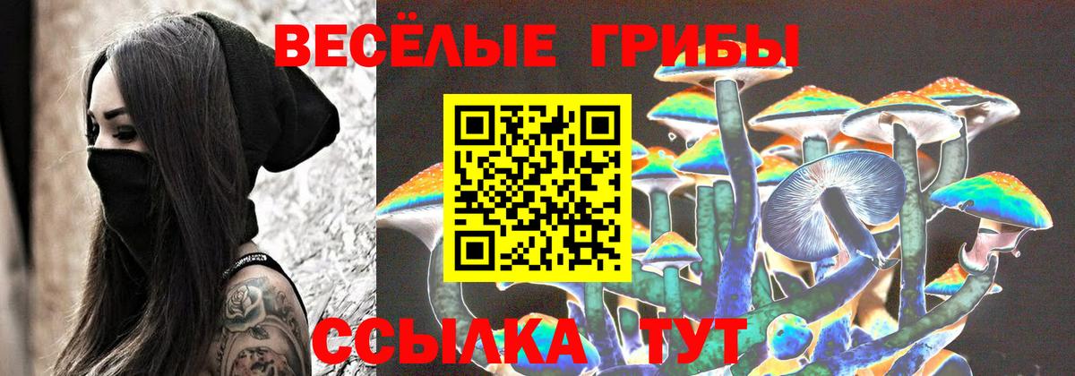 Псилоцибиновые грибы мухоморы Ржев
