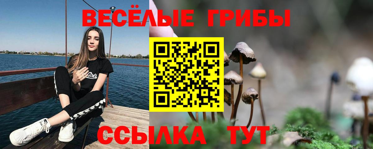 Ржев  Галлюциногенные грибы MAGIC MUSHROOMS  даркнет сайт  Вход с VPN  Псилоцибиновые грибы Psilocybine cubensis 